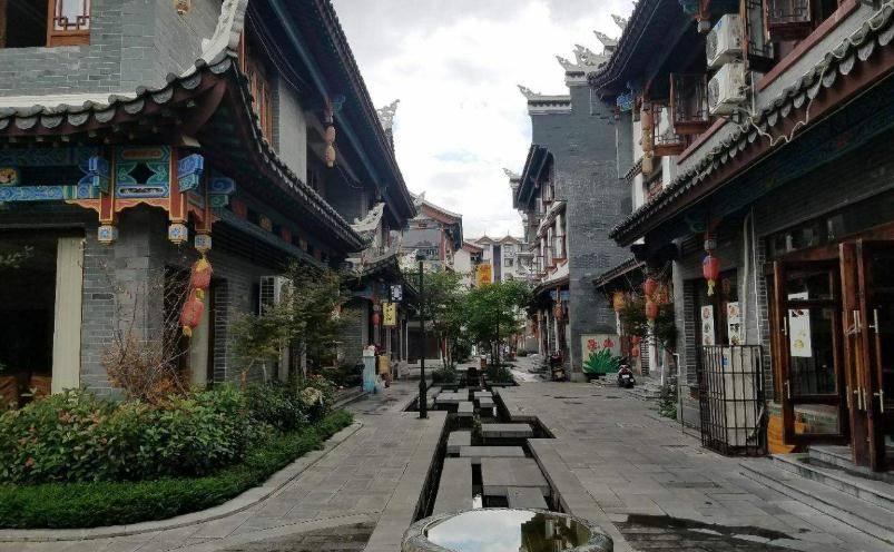 爱吃叶子的毛毛虫